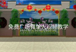 免费广场舞单人视频教学