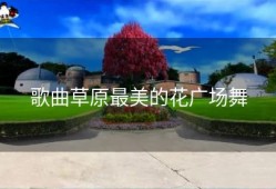 歌曲草原最美的花广场舞