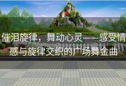 催泪旋律，舞动心灵——感受情感与旋律交织的广场舞金曲