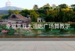 幸福离我太遥远广场舞教学