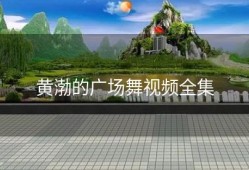 黄渤的广场舞视频全集