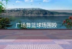 广场舞篮球场围殴