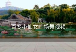 百变小仙女广场舞视频