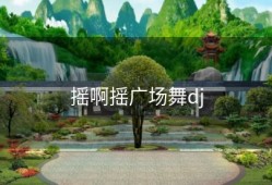 摇啊摇广场舞dj