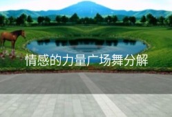 情感的力量广场舞分解