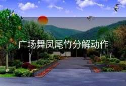 广场舞凤尾竹分解动作
