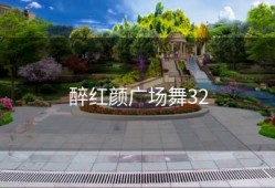 醉红颜广场舞32