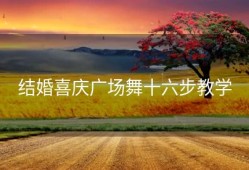 结婚喜庆广场舞十六步教学