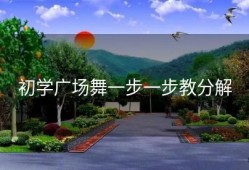 初学广场舞一步一步教分解