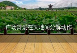 广场舞爱在天地间分解动作