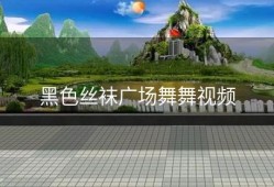 黑色丝袜广场舞舞视频