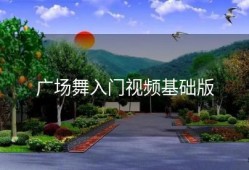 广场舞入门视频基础版