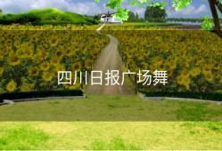 四川日报广场舞