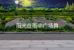阳光在雨中广场舞
