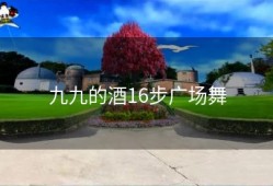 九九的酒16步广场舞