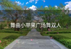 舞曲小苹果广场舞双人