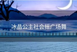 冰晶公主社会摇广场舞