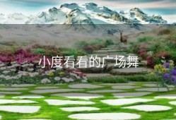 小度看看的广场舞