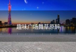 趣味广场舞草原醉