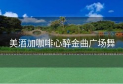 美酒加咖啡心醉金曲广场舞