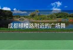 成都琼楼路附近的广场舞