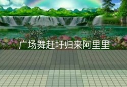 广场舞赶圩归来阿里里