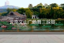 云南文山广场舞三跺脚