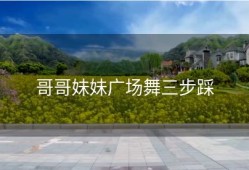 哥哥妹妹广场舞三步踩
