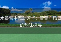 水墨雪中舞动芳华：萱萱广场舞的韵味探寻