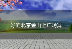 好的北京金山上广场舞