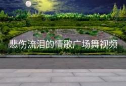 悲伤流泪的情歌广场舞视频