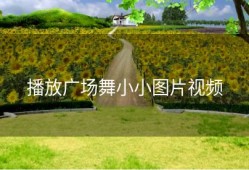 播放广场舞小小图片视频