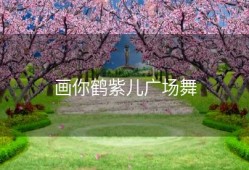 画你鹤紫儿广场舞