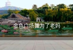 金色广场舞为了老妈