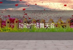 动动广场舞天音