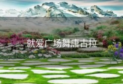 就爱广场舞唐古拉