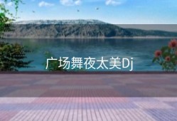 广场舞夜太美Dj