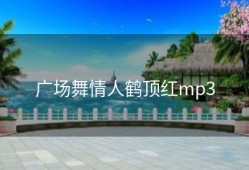 广场舞情人鹤顶红mp3