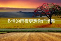 多情的雨夜更想你广场舞