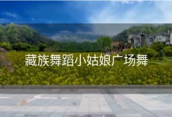 藏族舞蹈小姑娘广场舞