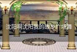 沈阳啊沈阳我的故乡广场舞