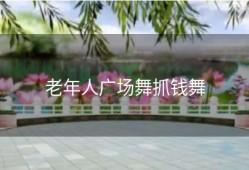 老年人广场舞抓钱舞