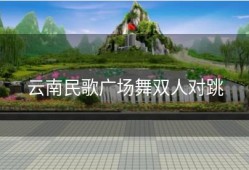 云南民歌广场舞双人对跳