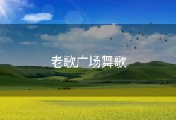 老歌广场舞歌