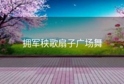 拥军秧歌扇子广场舞