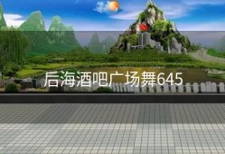 后海酒吧广场舞645