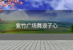 紫竹广场舞浪子心