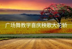 广场舞教学喜庆秧歌大花轿