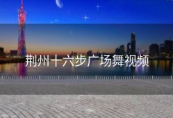 荆州十六步广场舞视频