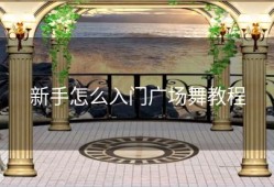 新手怎么入门广场舞教程